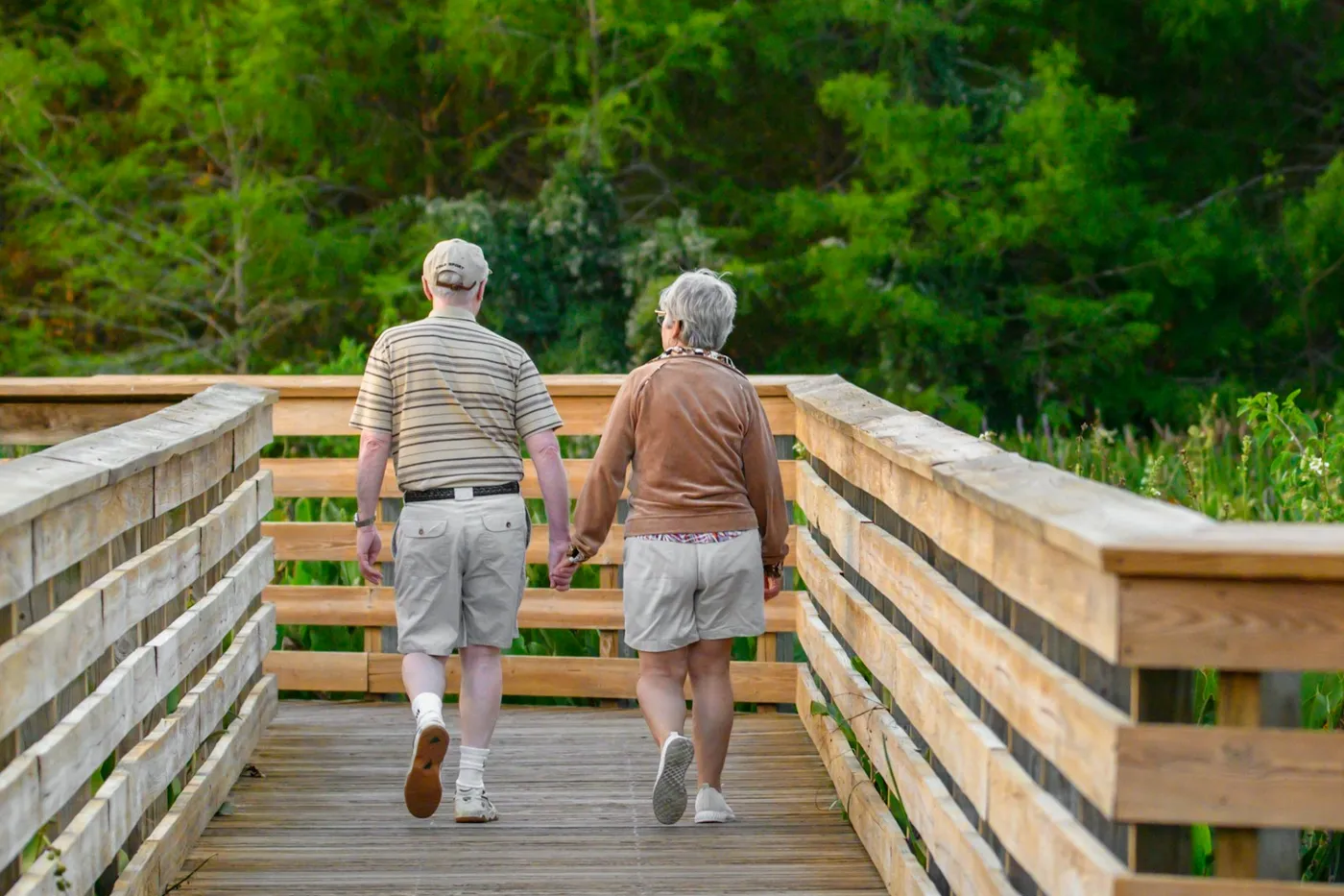 Casal de idosos de mãos dadas caminhando de costas por uma passarela de madeira cercada de árvores