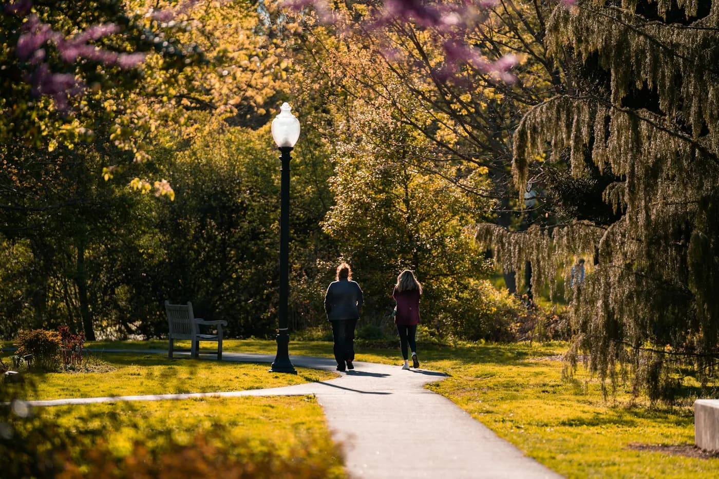 Duas mulheres caminhando de costas por uma trilha pavimentada de parque, entre árvores e um poste de luz, no fim da tarde