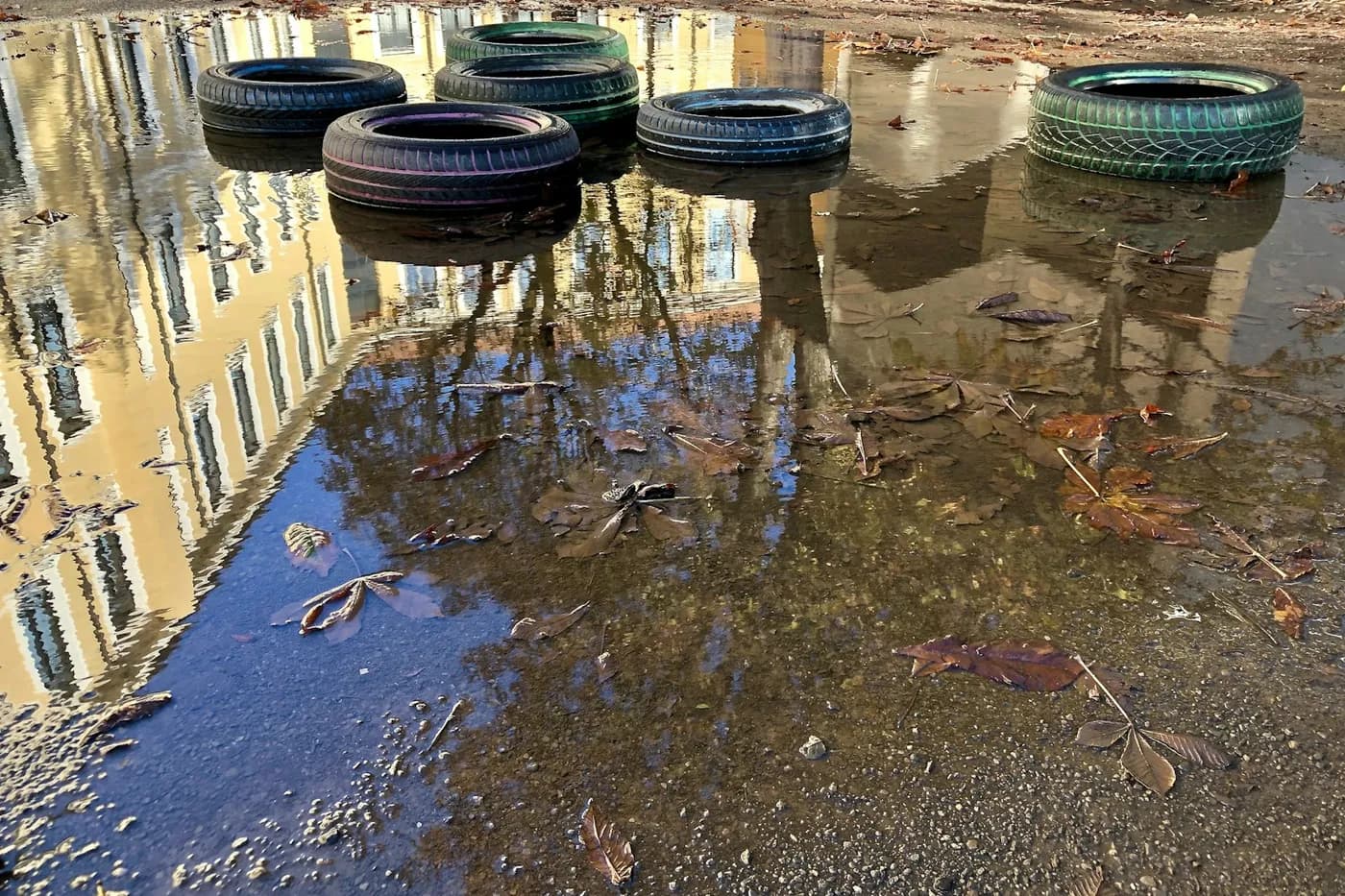 Pneus velhos dentro de uma grande poça de água parada, com folhas secas boiando e prédios refletidos